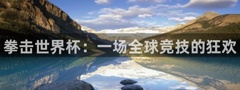 世界杯小组赛赛程：拳击世界杯：一场全球竞技的狂欢