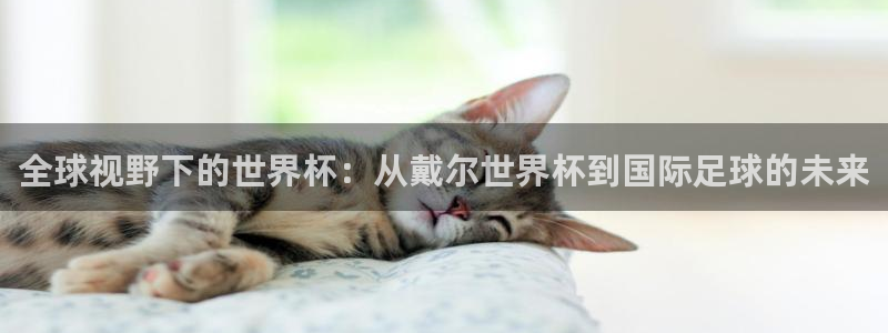 足球世界杯：全球视野下的世界杯：从戴尔世界杯到国际足球的未来
