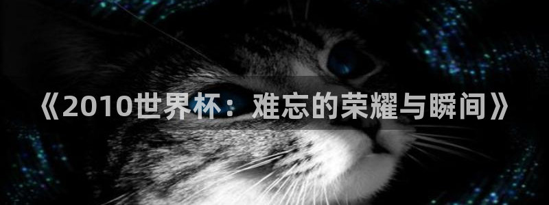2026足球世界杯赛程：《2010世界杯：难忘的荣耀与瞬间》