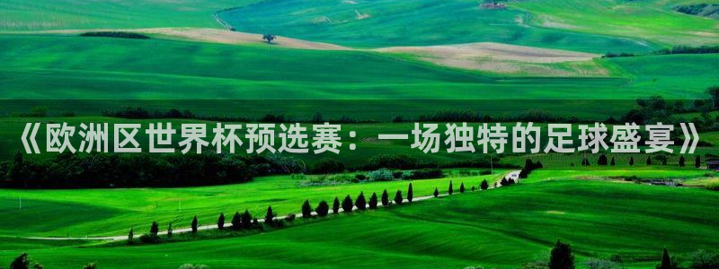 法国杯2026赛程表：《欧洲区世界杯预选赛：一场独特的足球盛宴》