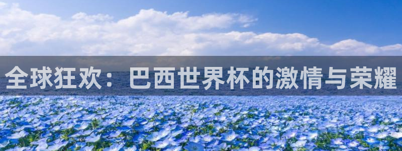 2026世界杯买球：全球狂欢：巴西世界杯的激情与荣耀
