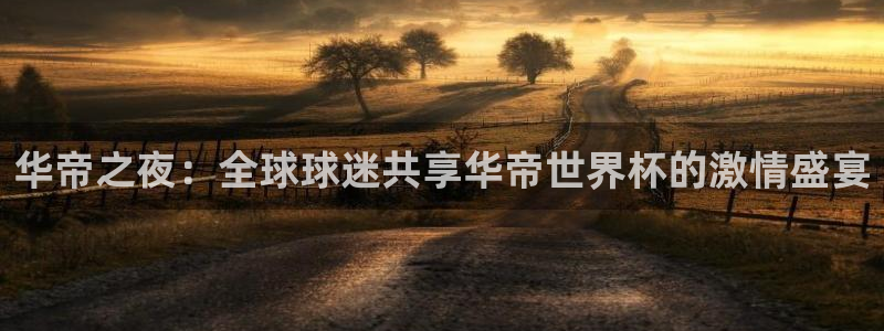 足球比分直播世界杯：华帝之夜：全球球迷共享华帝世界杯的激情盛宴