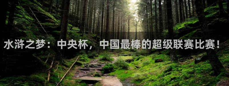 世界杯2026赛程时间表格：水浒之梦：中央杯，中国最棒的超级联赛比赛！