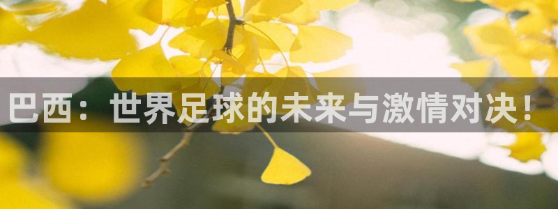 世界杯亚洲区预选赛赛程：巴西：世界足球的未来与激情对决！