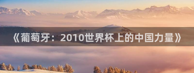 2026 世界杯：《葡萄牙：2010世界杯上的中国力量》